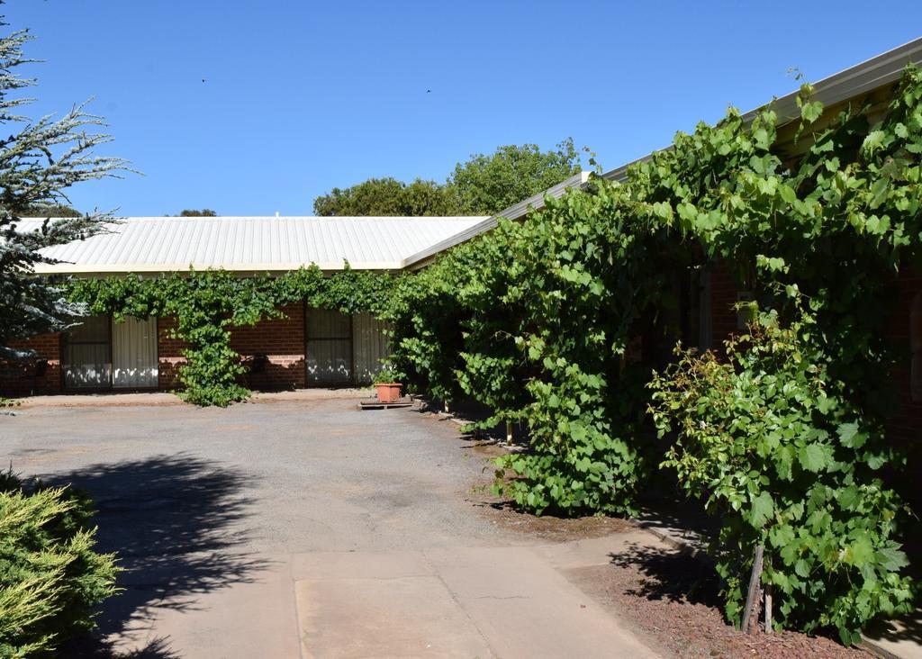 Roundhouse Motel Peterborough 部屋 写真